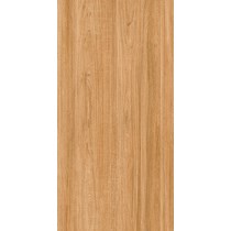 Gạch ốp lát Apodio 60x120 61332009