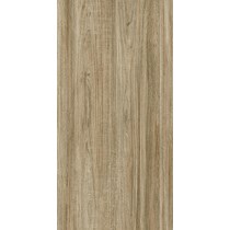 Gạch ốp lát Apodio 60x120 61333009