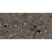 Gạch ốp lát Royal - Hoàng Gia 60x120 612420034