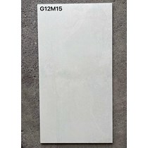 Gạch ốp lát Taicera 60x120 mờ G12M15