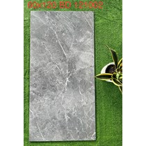 Gạch ốp lát Tasa 60x120 BD121002
