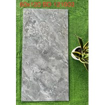 Gạch ốp lát Tasa 60x120 BD121003