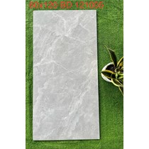 Gạch ốp lát Tasa 60x120 BD121005