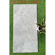 Gạch ốp lát Tasa 60x120 BD121008