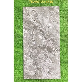 Gạch ốp lát Tasa 60x120 bóng TSA 1640