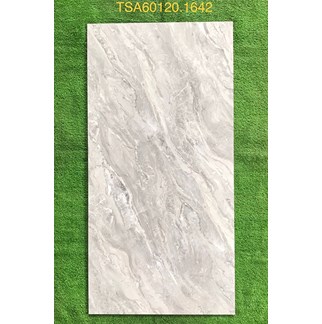 Gạch ốp lát Tasa 60x120 bóng TSA 1642