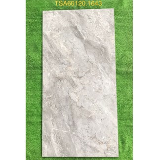 Gạch ốp lát Tasa 60x120 bóng TSA 1643