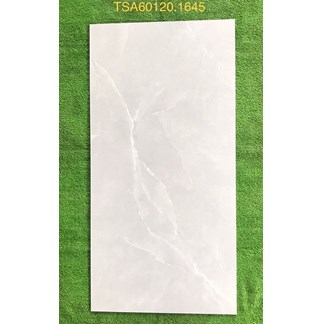 Gạch ốp lát Tasa 60x120 bóng TSA 1645