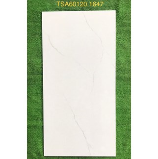 Gạch ốp lát Tasa 60x120 bóng TSA 1647