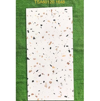 Gạch ốp lát Tasa 60x120 bóng TSA 1648