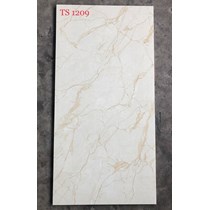 Gạch ốp lát Tasa 60x120 TS1209