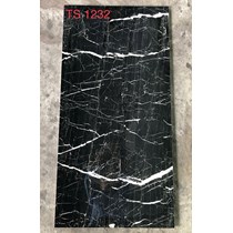 Gạch ốp lát Tasa 60x120 TS1232