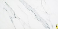 Gạch ốp lát Trung Quốc 60x120 X12FRT03