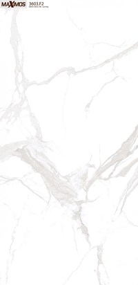 Gạch ốp lát Vitto 60x120 3603