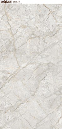Gạch ốp lát Vitto 60x120 3605