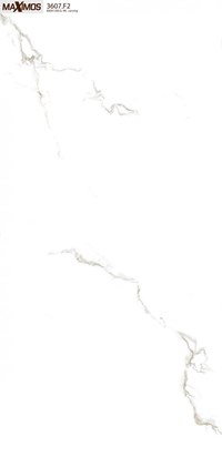Gạch ốp lát Vitto 60x120 3607