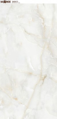 Gạch ốp lát Vitto 60x120 3608