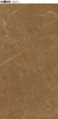 Gạch ốp lát Vitto 60x120 3631