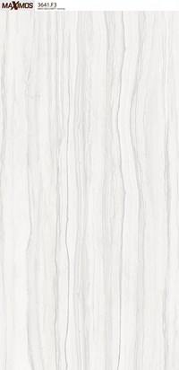 Gạch ốp lát Vitto 60x120 3641