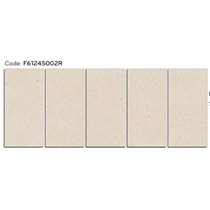 Gạch ốp lát Ý Mỹ 60x120 mờ F61245002R