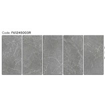 Gạch ốp lát Ý Mỹ 60x120 mờ F61245003R