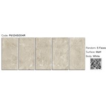 Gạch ốp lát Ý Mỹ 60x120 mờ P61245004R