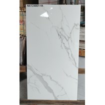 Gạch ốp lát Ý Mỹ 60x120 N61248011R