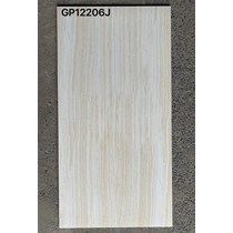 Gạch ốp lát Taicera 60x120 GP12206J