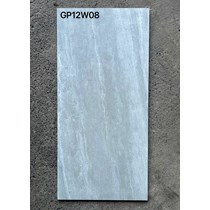 Gạch ốp lát Taicera 60x120 GP12W08