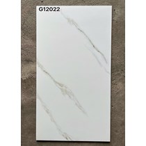 Gạch ốp látTaicera 60x120 mờ G12022