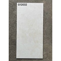 Gạch ốp lát Taicera 60x120 mờ G12032