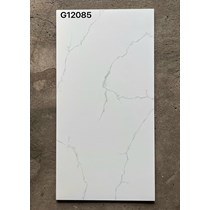 Gạch ốp lát Taicera 60x120 mờ G12085