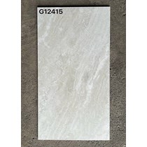 Gạch ốp lát Taicera 60x120 mờ G12415
