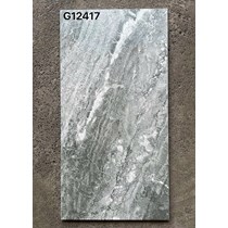 Gạch ốp lát Taicera 60x120 mờ G12417