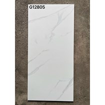Gạch ốp lát Taicera 60x120 mờ G12805