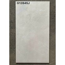 Gạch ốp lát Taicera 60x120 mờ G12845J