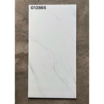 Gạch ốp lát Taicera 60x120 mờ G12865