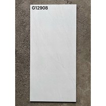 Gạch ốp lát Taicera 60x120 mờ G12908