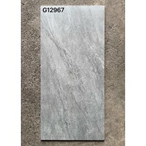Gạch ốp lát Taicera 60x120 mờ G12967