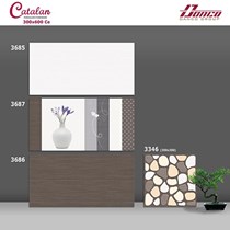 Gạch ốp tường 300x600 Catalan 3685