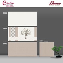 Gạch ốp tường 300x600 Catalan 3969