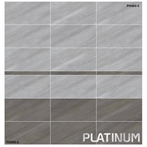 Gạch ốp tường 300x600 Viglacera bán sứ PH3632-3633