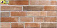 Gạch ốp tường 30x60 2XF63219