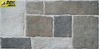 Gạch ốp tường 30x60 JR36021