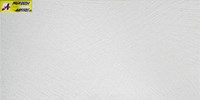 Gạch ốp tường 30x60 NEH6601C