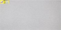 Gạch ốp tường 30x60 NEH6604C