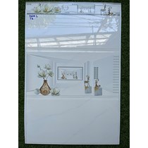 Gạch ốp tường giá rẻ 300x600 36601L-TQ