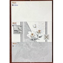 Gạch ốp tường giá rẻ 300x600 EC36048S