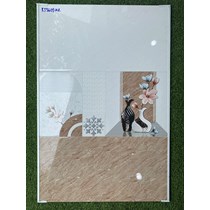 Gạch ốp tường giá rẻ 300x600 RT3609