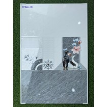 Gạch ốp tường giá rẻ 300x600 RT3611